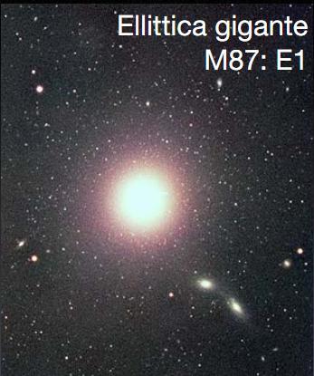 Galassie Ellittiche Le galassie ellittiche: sono costituite principalmente da uno sferoide; sono prive di dischi, hanno