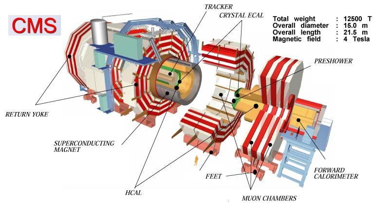 24 Capitolo 2. L acceleratore LHC e l esperimento CMS Figura 2.4. Schema del rivelatore CMS La figura 2.