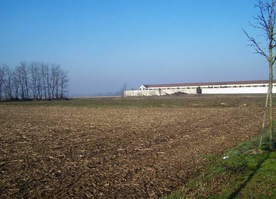 con le aree agricole di rispetto del centro abitato a nord e ad ovest, e con la via del Cimitero ad est. Attualmente l area è a vocazione agricola, condotta in prevalenza a seminativo.