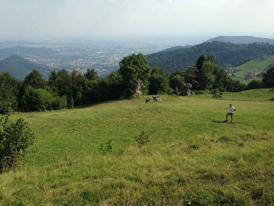 PER L'ALIMENTAZIONE DELLA POZZA, SI SFRUTTERA' L'APPORTO IDRICO DI UN RUSCELLO TEMPORANEO CHE SI DISPERDE NELLA VALLECOLA SOTTOSTANTE. (VEDI FOTO 1).