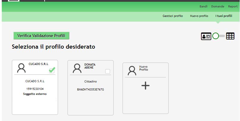 Figura 5 Selezione profilo Accedere all area Bandi in cui è possibile visualizzare l elenco dei bandi a cui il profilo selezionato