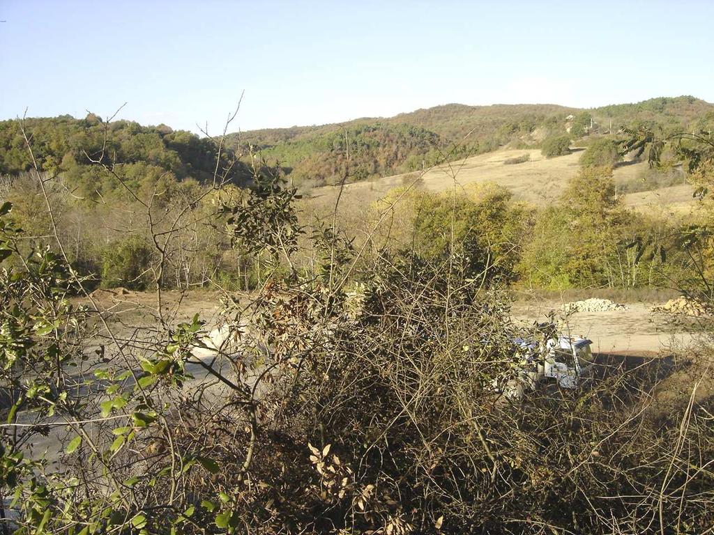 quasi totale del bosco e per l assenza di una rete viaria strutturata. L area boscata è percorsa da un fitto reticolo idrografico fortemente ramificato afferente al corso del Fiora.