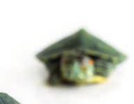 cm 7,50 IMAC TARTARUGHIERA NINFEA capiente vaschetta per tartarughe con fondo in