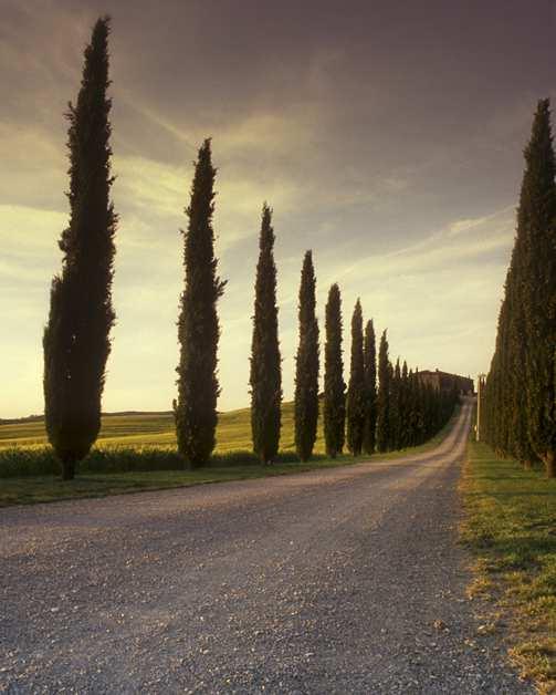 preghiera per le vocazioni Dal Vangelo e la santificazione