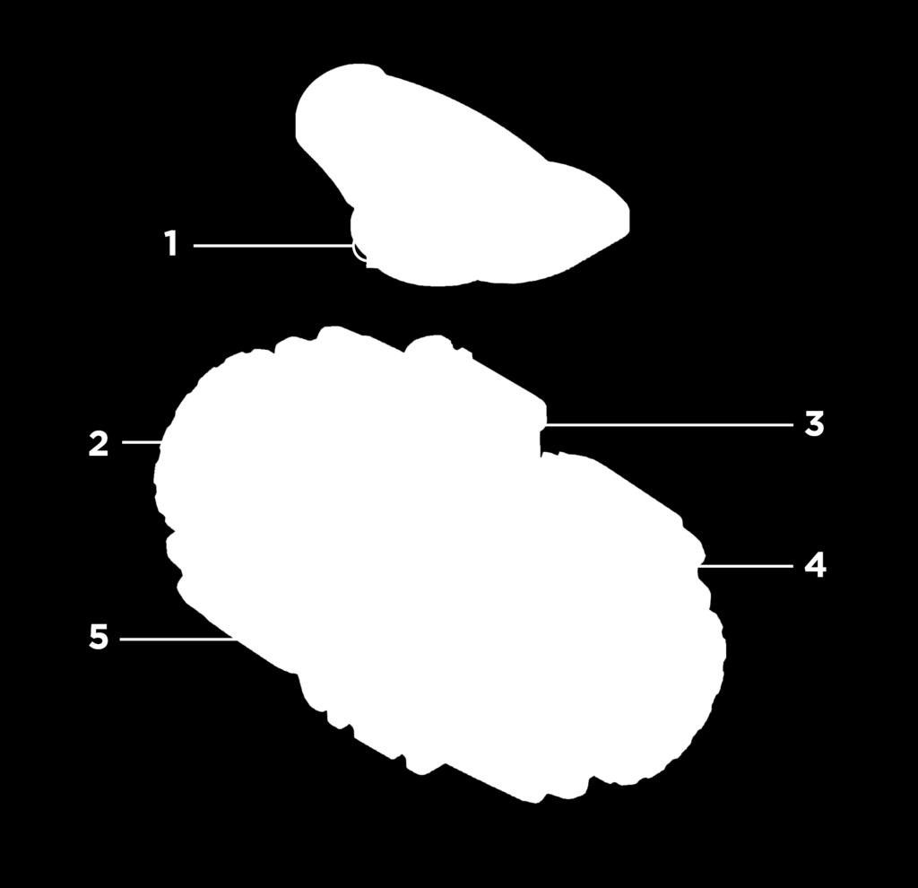 attuatori a quarto di giro di tipo standard 4 Design della sfera brevettato che assicura una regolazione del flusso lineare su tutto il campo di funzionamento, a partire dai primi gradi di apertura