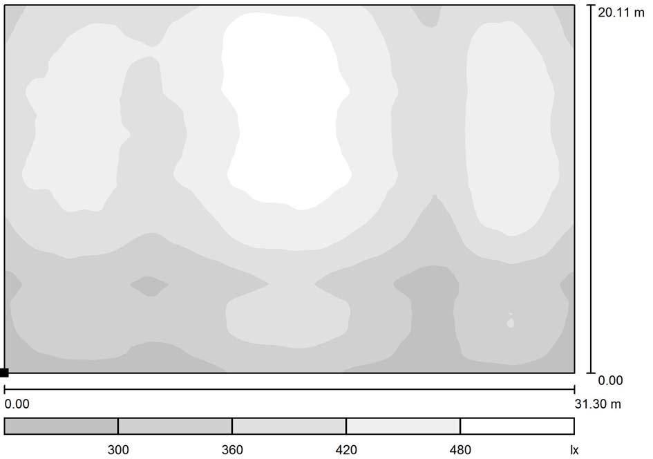 Palestra - ordinaria / Superficie di calcolo 1 / Livelli di grigio (E, orizzontale) Posizione della superficie nel locale: Punto contrassegnato: (35.