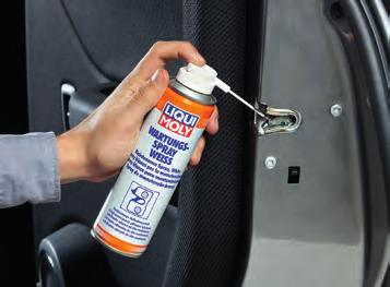 Da usare: come trattamento preventivo dei componenti contaminati del veicolo prima del lavaggio dell auto.