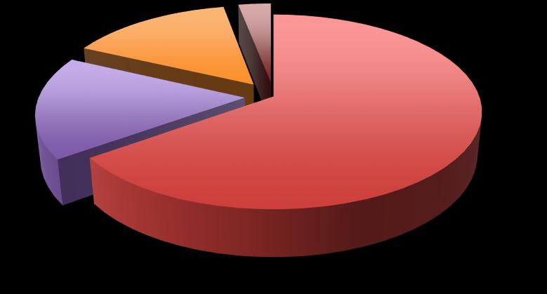 ALTRI PORTALI 17% 65% Fonte: Progetto Angeli anti