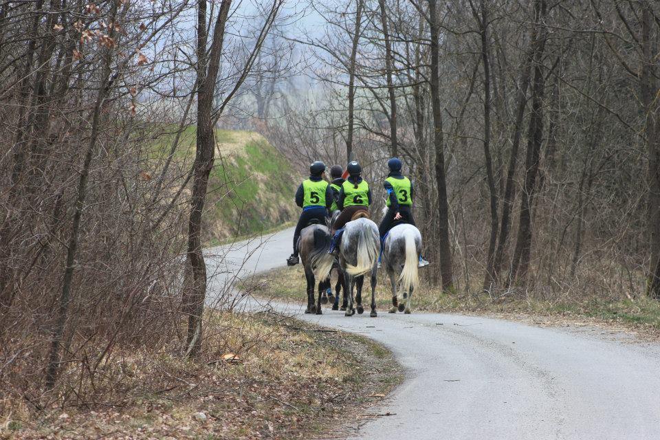 DESCRIZIONE DEL PERCORSO La gara si snoda nell'entroterra del comune di Casina e Canossa in provincia di Reggio Emilia, territorio posto nel cuore delle Terre Matildiche.