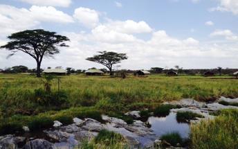 Questa zona costituisce l habitat ideale per una grande varietà di animali residenziali tra cui erbiviori e carnivori che si possono avvistare lungo tutto l arco dell anno.