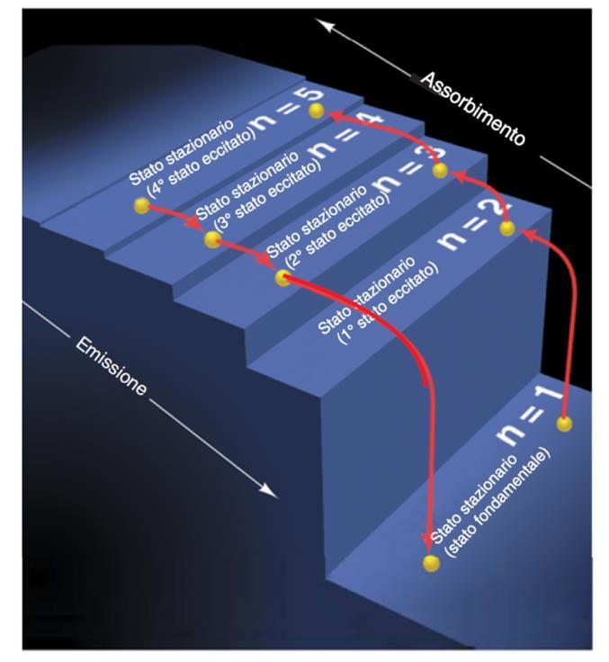 l elettrone si muove in orbite circolari attorno al nucleo (corrispondenti a certi livelli energetici permessi detti stati stazionari) 2.