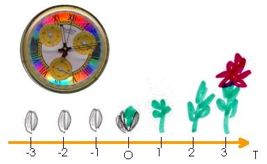 Pagina 3 di 7 Versione 3/12/99 figura 6 UN SISTEMA DI RIFERIMENTO PER IL TEMPO In figura 7 si vede un sistema di riferimento dove l'asse descrive lo scorrere del tempo.