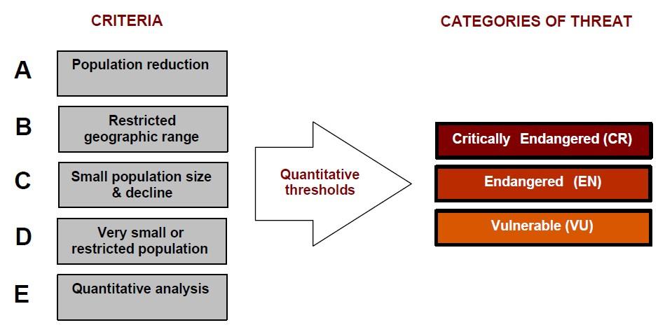 METODOLOGIA IUCN Step 1 La Metodologia prevede 2 STEP. Nella prima fase (Step 1) vengono applicati i criteri previsti nella versione IUCN 3.