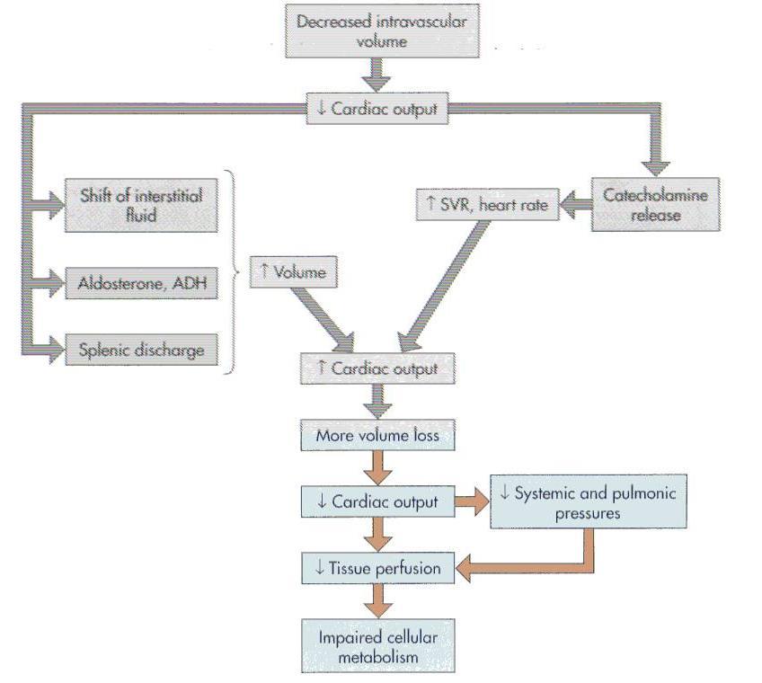 SVR = Systemic Vascular