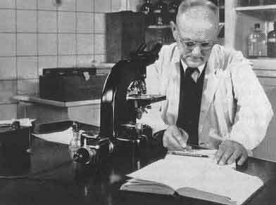 La scoperta dei sulfamidici Gerhard Domagk Domagk lavorava nei laboratori della Bayer Si seguiva 'ancora' la vecchia teoria di Ehrlich che i coloranti potessero avere un'azione