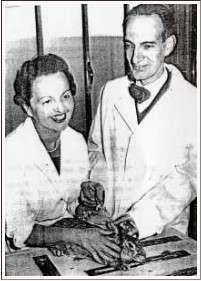 L Istituto Superiore di Sanità 1945 Ernst Boris Chain Premio Nobel per la medicina 1948 A
