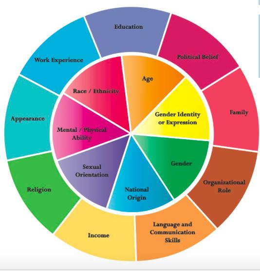 DIVERSITY WHEEL Aspetti