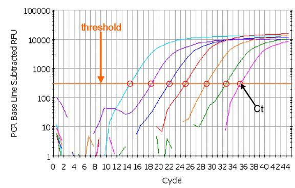 Il software misura per ogni campione il numero di cicli al quale la fluorescenza incrocia la