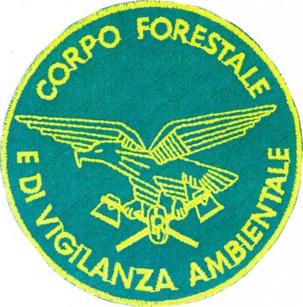 FIG. 55) Distintivo di appartenenza come da figura, per personale Ispettori, Assistenti, Sottufficiali e Guardie Forestali e di Vigilanza Ambientale, imbarcati.