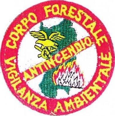 (FIG. 47) Scudetto di servizio antincendio, come da figura, per Ispettori, Assistenti, Sottufficiali, Guardie forestali e di vigilanza ambientale.