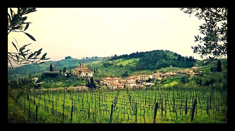 La collina del Montalbano, estesa per ca.