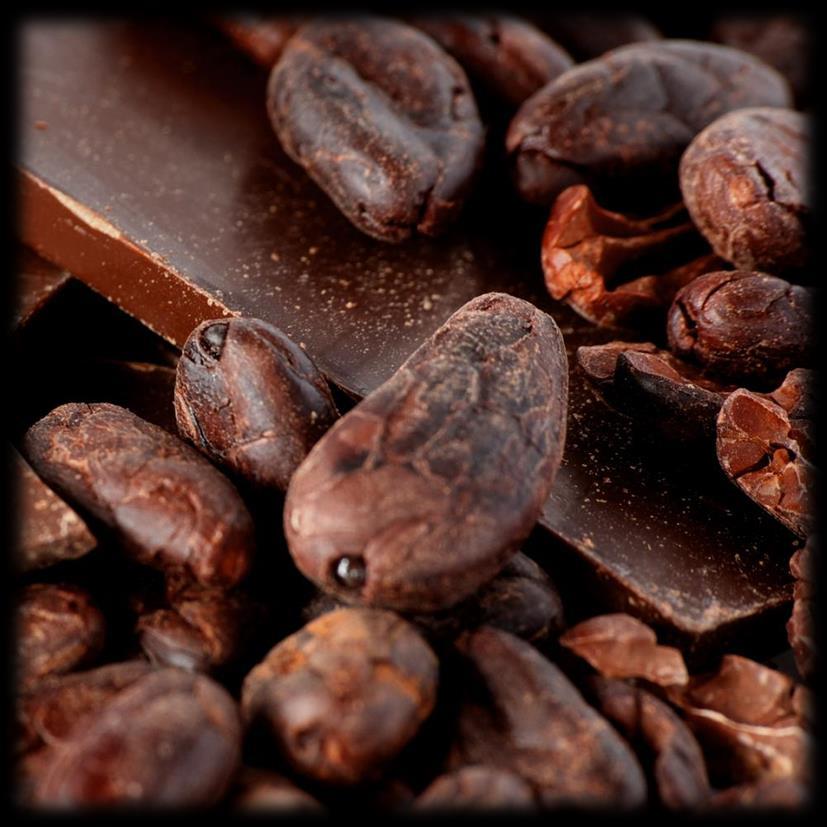 Dal cacao alla cioccolata Per preparare i semi al consumo, si sottopongono a fermentazione, di durata variabile,