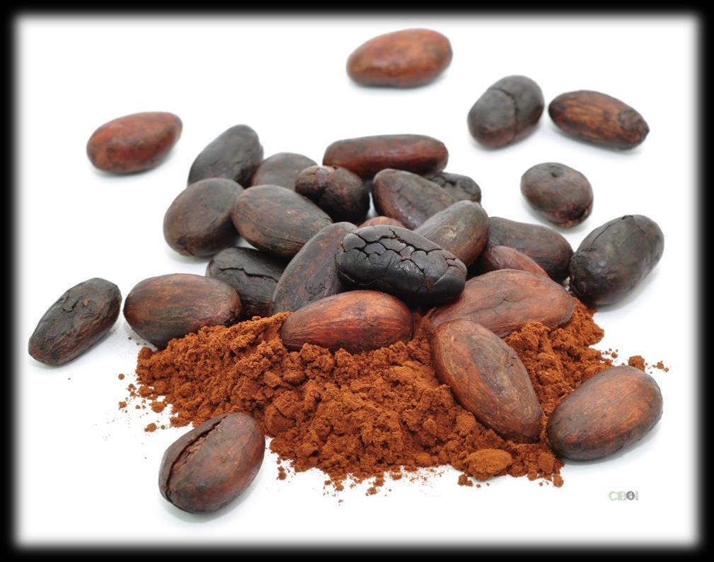 Il ruolo nutrizionale del cacao I semi di cacao interi, oltre a lipidi e alcaloidi, contengono proteine, carboidrati e