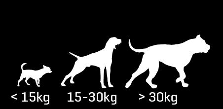 In breve, i bisogni nutrizionali di un cane di piccola taglia, dal cucciolo in poi, sono diversi da quelli di una di grande taglia.