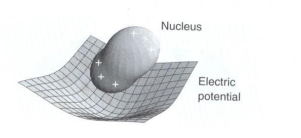 Interazione dipolare tra nuclei e elettroni spaiati Ri(para)