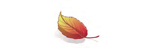 I colori dell autunno A Topford l autunno era già iniziato, ma