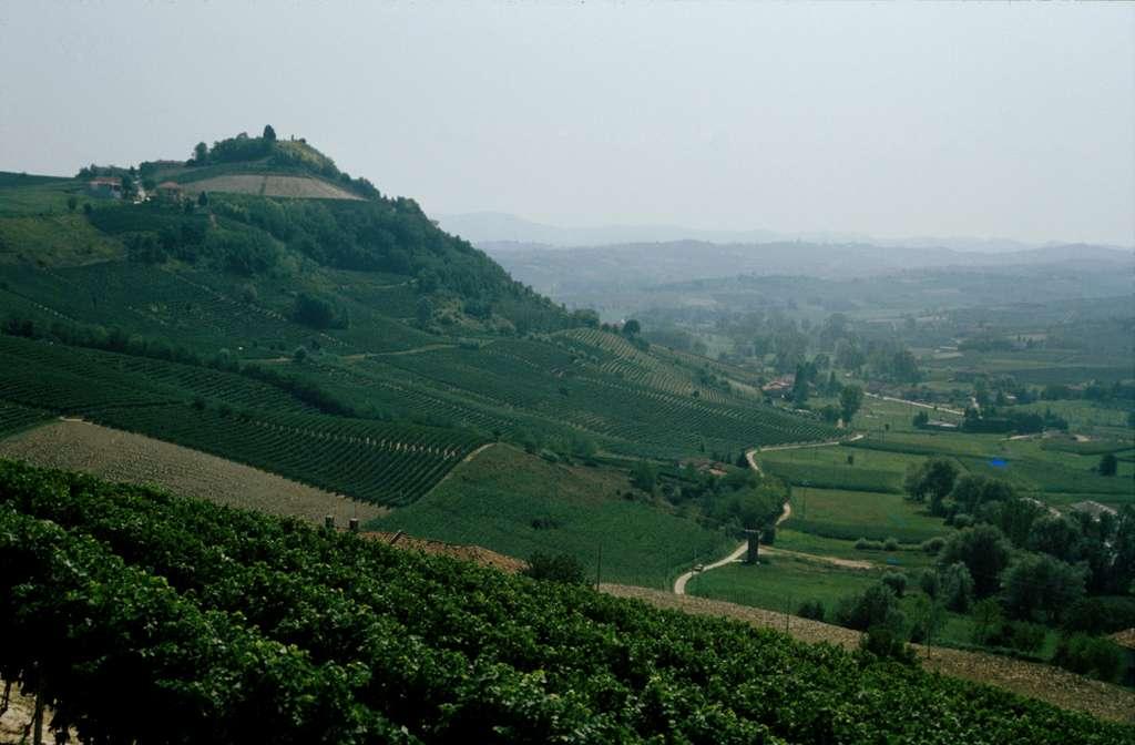 NON BASTERÀ PIÙ PRODURRE VINO Con l espandersi della globalizzazione altri paesi produrranno vini a minor prezzo e con sufficiente qualità.