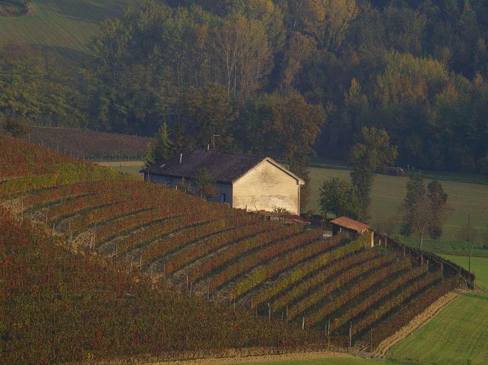 IL BUON PAESAGGIO NECESSARIO COMPLEMENTO DEL BUON VINO I viticoltori devono, quindi, contribuire a produrre paesaggio; curando il territorio in cui operano,