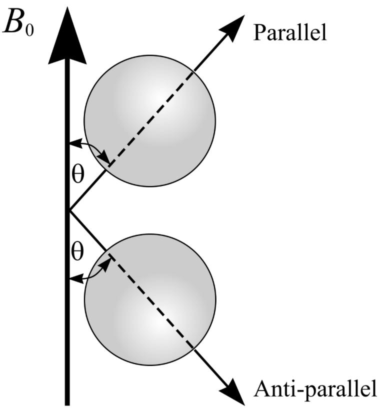 Il campo magnetico esterno