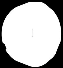 Questa caratteristica permette a ogni singolo settore della pinza di chiudere in modo radiale, serrando così il pezzo su tutta la lunghezza del foro e sviluppando una forza di serraggio da 5 a 10