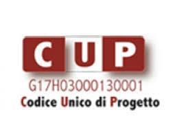 Controlli di tracciabilità 9 C.U.P. Codice Unico di Progetto Identifica e accompagna i progetti d'investimento pubblico ELEMENTI IDENTIFICATIVI 1. presenza di un decisore pubblico; 2.