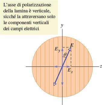 Intensità della luce polarizzata trasmessa Scomponiamo la luce non polarizzata nelle due componenti y e z: l intensità totale sarà I 0.