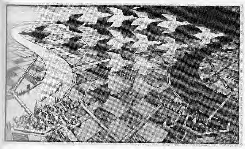 Escher, Giorno e notte,