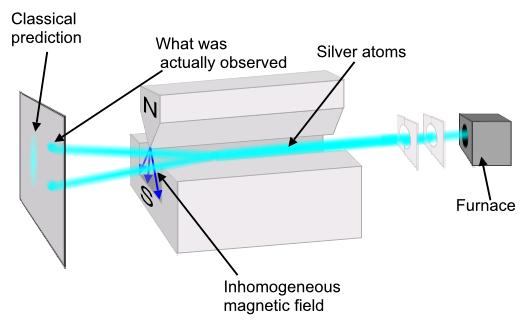 I nuclei e il loro spin proprietà puramente quantistica (relativistica,