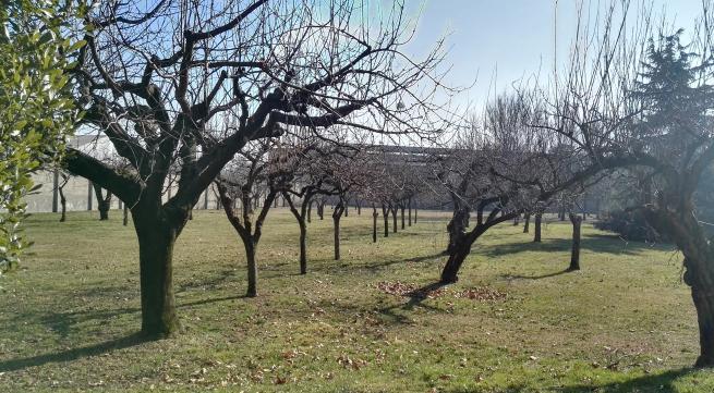 mobilità e uso degli spazi; permeabilità, ciclo dell acqua