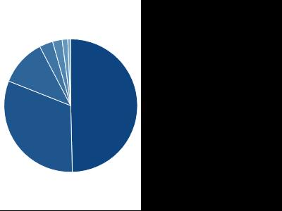 DISTRIBUZIONE GEOGRAFICA Europa 29,49% Italia 18,66% Nord America 6,74% Altro 1,94% Paesi Emergenti 1,37% Giappone 0,81% Pacifico 0,43% PRINCIPALI INVESTIMENTI VONTOBEL GLOBAL VALUE EQT-I- 5,25%