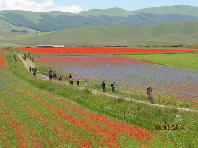 degli anni hanno partecipato scuole di ogni parte d Italia (da Aidone e