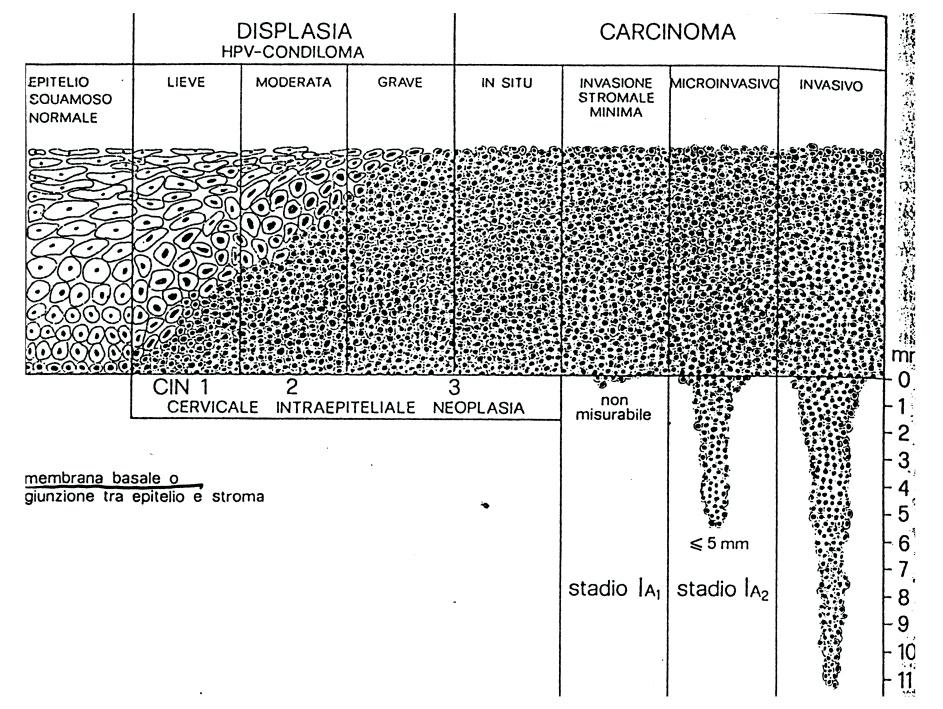 Storia naturale del