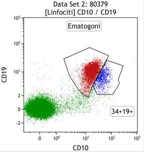 CD10/CD19