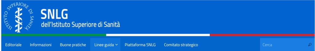 Risultati 6 Creazione di un database di LG internazionali e nazionali SNLG conflitto di interessi qualità metodologica composizione del panel revisione esterna LG SNLG in fase di sviluppo : 7 LG SNLG