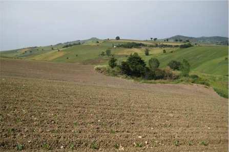 Ilario, autentica perla medievale.