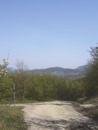 Dall esterno dell area tutelata, le colline boscate dell area tutelata viste dalla strada che da nord va a Carfico. 4.