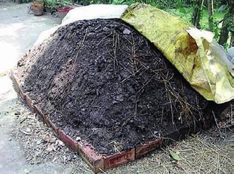 Che cos è il compost Il compost è il materiale che deriva dal processo di compostaggio dei rifiuti organici, è una sostanza inodore stabile e simile all humus, ricco di materia organica, come