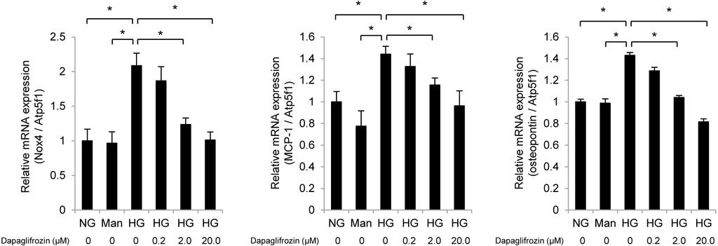 Dapagliflozin suppresses