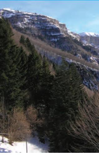 I TERRITORI E I CENTRI DI ANIMAZIONE RURALE DI VENETO AGRICOLTURA LA FORESTA DI GIAZZA (VERONA) La Foresta di Giazza si trova all estremità nord o- rientale della provincia di Verona all interno del