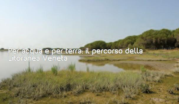 Codice attività: VV31 OBIETTIVI Itinerario naturalistico a piedi e in barca per conoscere i diversi ambienti di ValleVecchia, della Laguna di Caorle e le numerose attività che si sono sviluppate nei